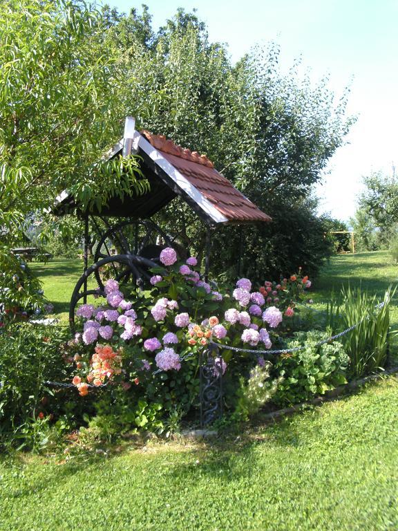 Panorama B&B Ptuj Esterno foto