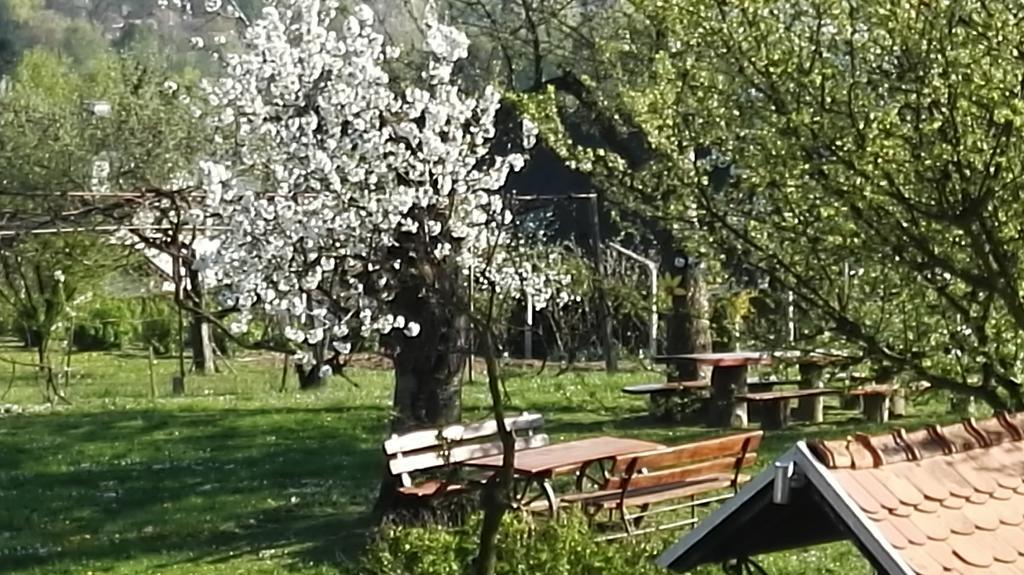 Panorama B&B Ptuj Esterno foto