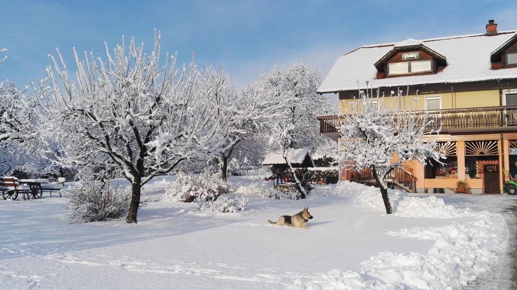 Panorama B&B Ptuj Esterno foto