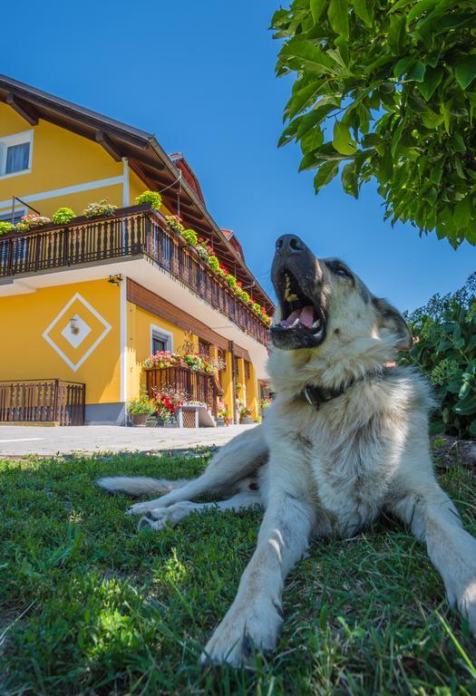 Panorama B&B Ptuj Esterno foto