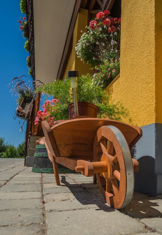Panorama B&B Ptuj Esterno foto