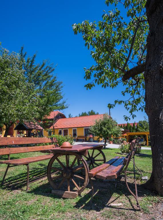 Panorama B&B Ptuj Esterno foto