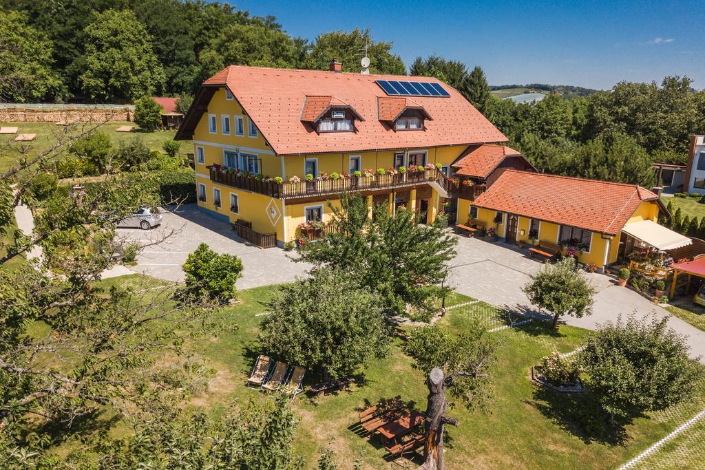Panorama B&B Ptuj Esterno foto