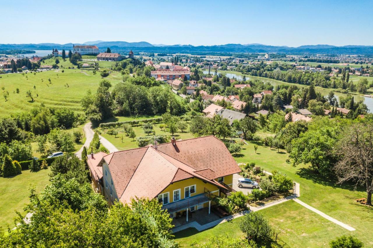 Panorama B&B Ptuj Esterno foto