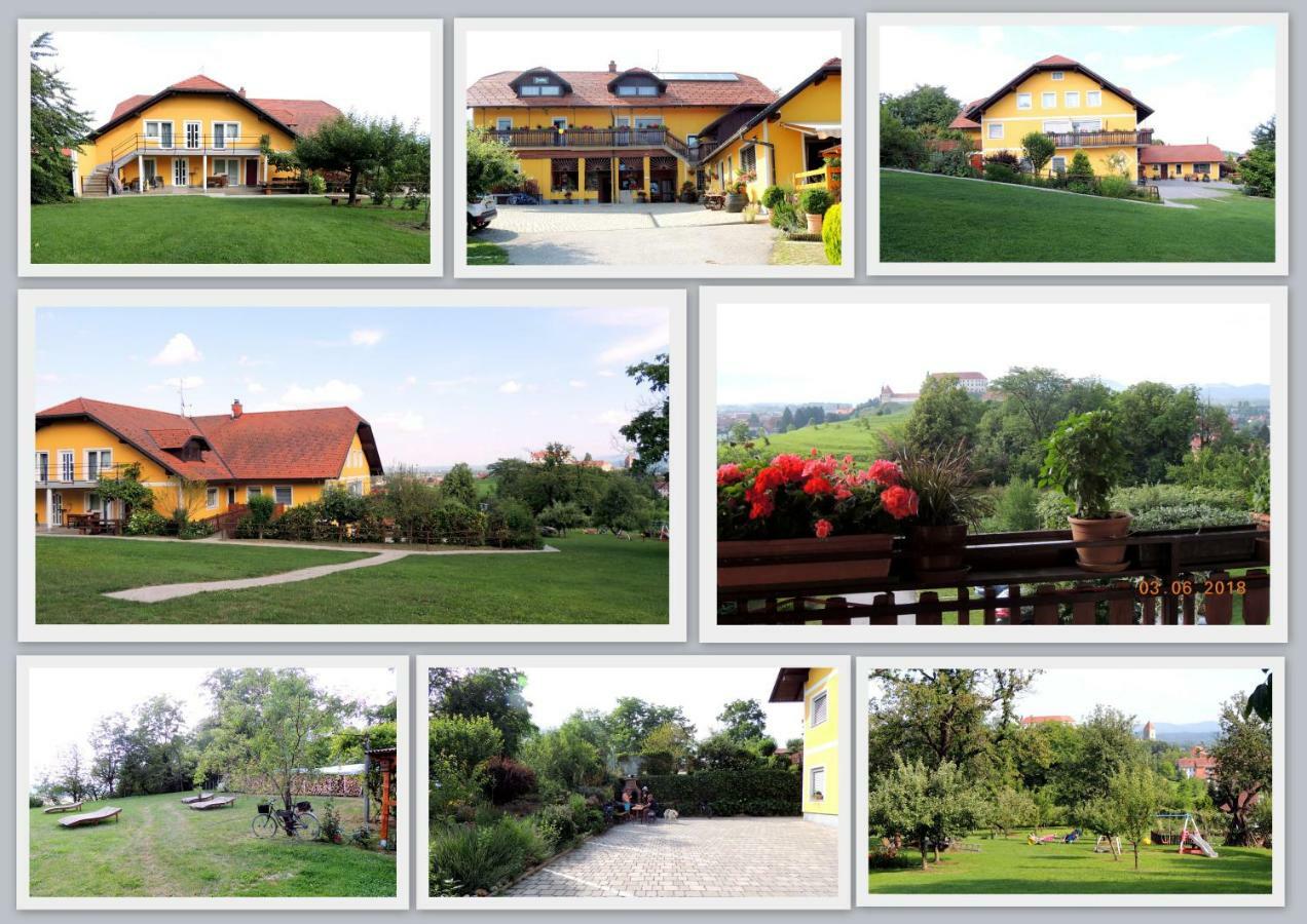 Panorama B&B Ptuj Esterno foto