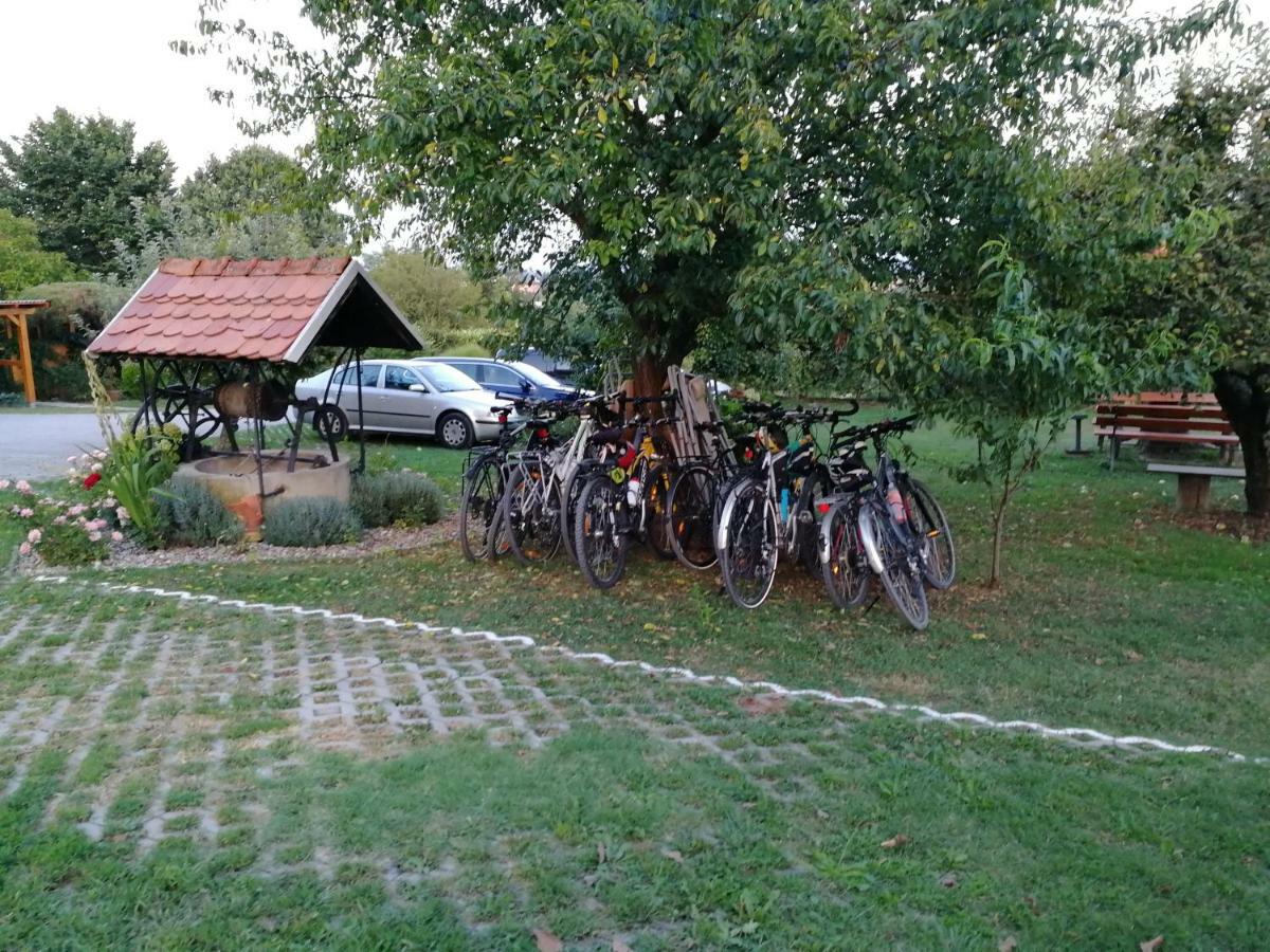 Panorama B&B Ptuj Esterno foto