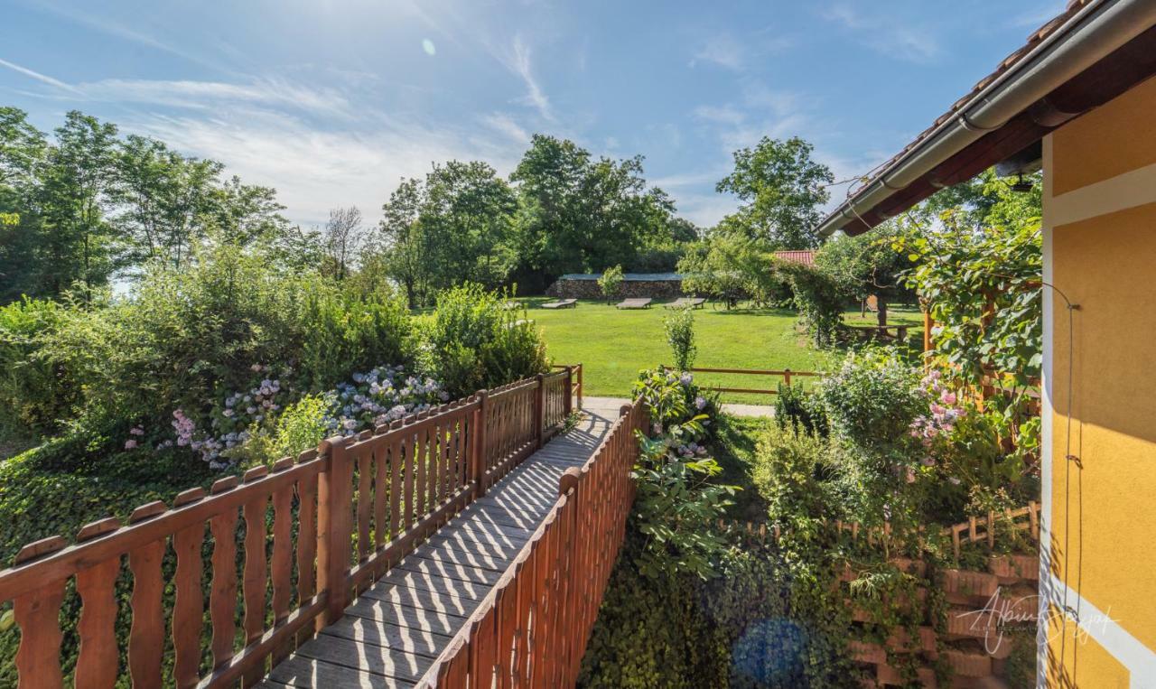 Panorama B&B Ptuj Esterno foto